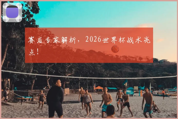 赛后专家解析,2026世界杯战术亮点!