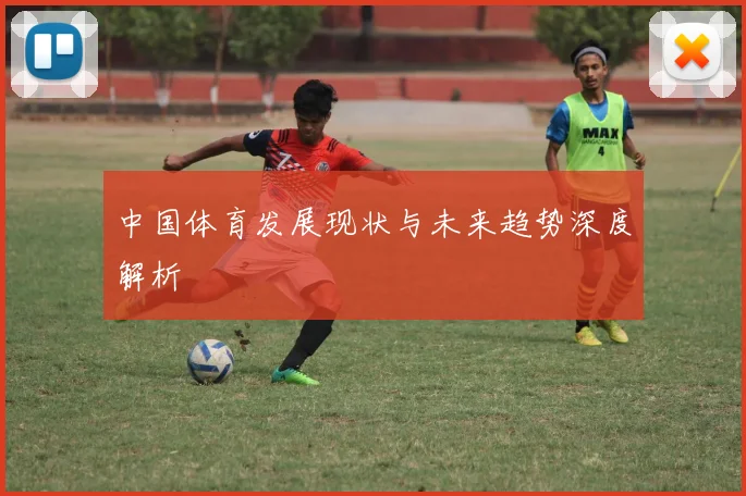 中国体育发展现状与未来趋势深度解析